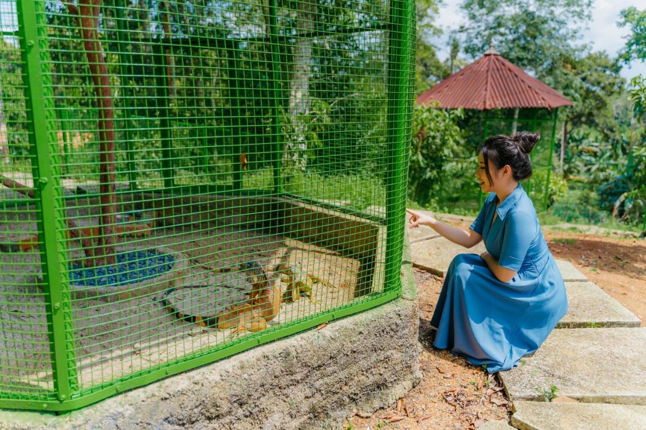 De Bintan Villa Tenaga المظهر الخارجي الصورة